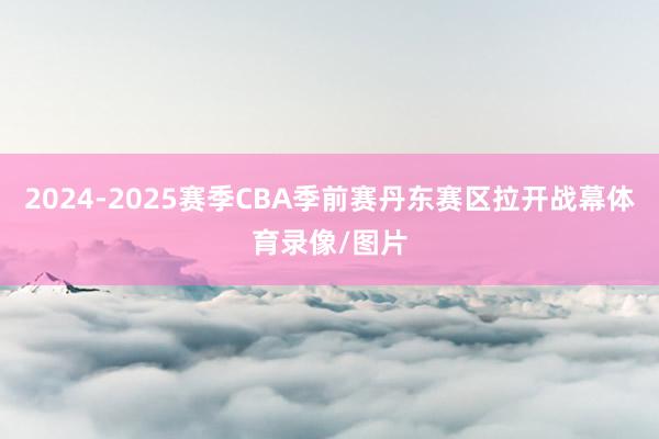 2024-2025赛季CBA季前赛丹东赛区拉开战幕体育录像/图片