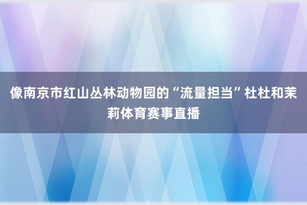 像南京市红山丛林动物园的“流量担当”杜杜和茉莉体育赛事直播