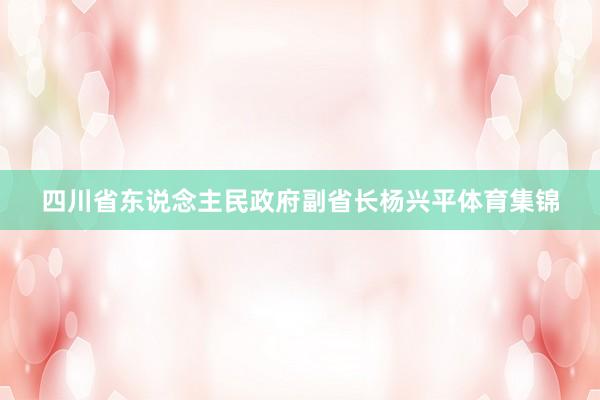 四川省东说念主民政府副省长杨兴平体育集锦