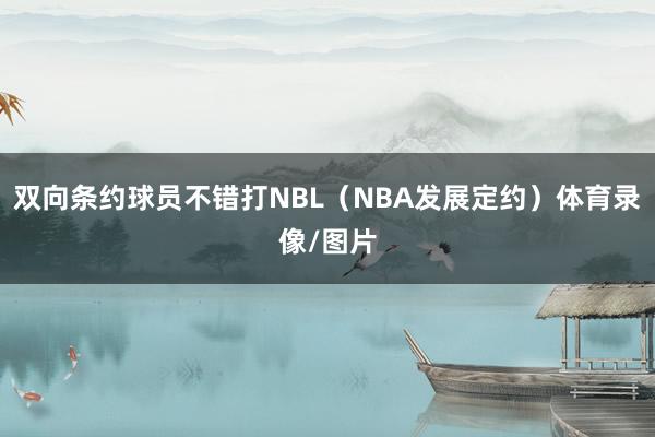 双向条约球员不错打NBL（NBA发展定约）体育录像/图片