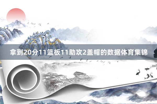 拿到20分11篮板11助攻2盖帽的数据体育集锦