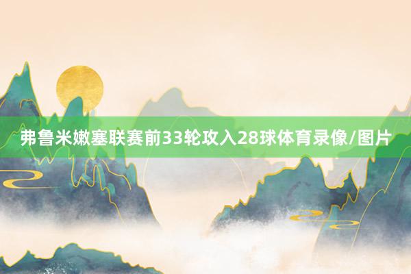 弗鲁米嫩塞联赛前33轮攻入28球体育录像/图片