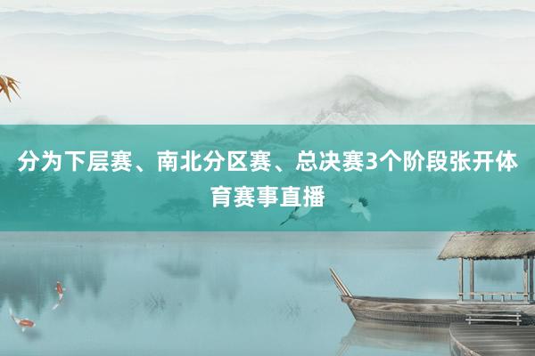 分为下层赛、南北分区赛、总决赛3个阶段张开体育赛事直播