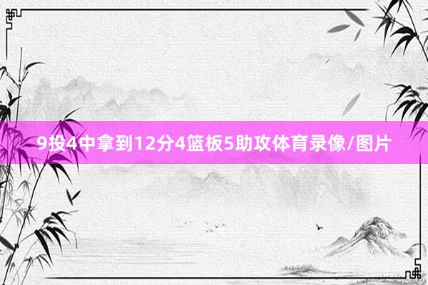 9投4中拿到12分4篮板5助攻体育录像/图片