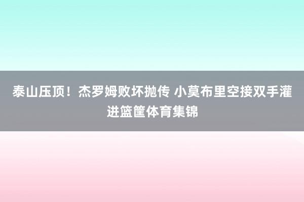 泰山压顶！杰罗姆败坏抛传 小莫布里空接双手灌进篮筐体育集锦