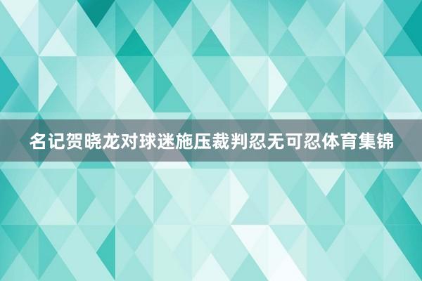 名记贺晓龙对球迷施压裁判忍无可忍体育集锦