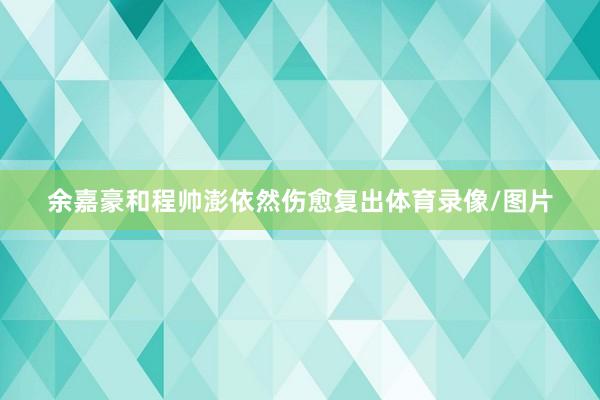 余嘉豪和程帅澎依然伤愈复出体育录像/图片