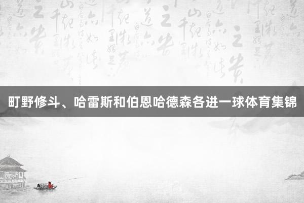 町野修斗、哈雷斯和伯恩哈德森各进一球体育集锦