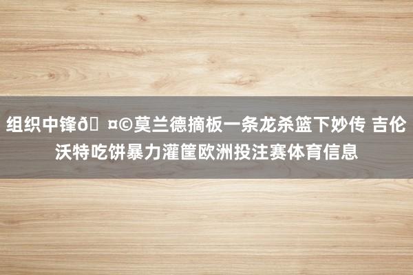 组织中锋🤩莫兰德摘板一条龙杀篮下妙传 吉伦沃特吃饼暴力灌筐欧洲投注赛体育信息